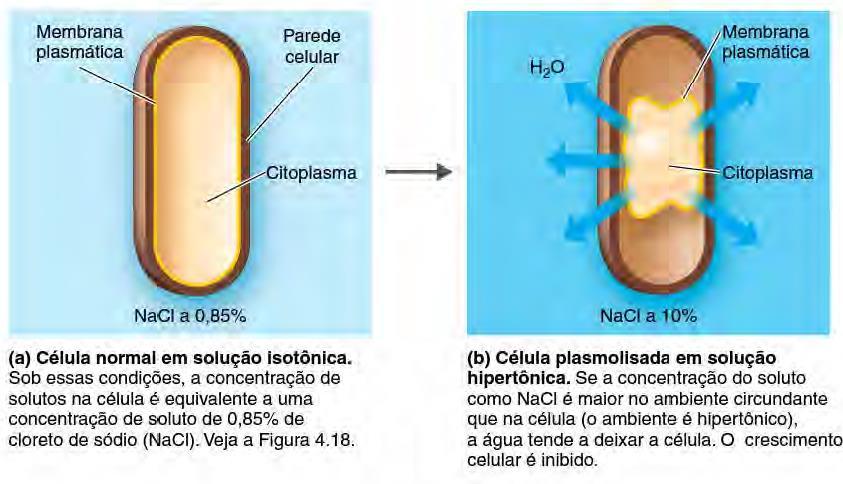 Pressão osmótica Obtenção de nutrientes a partir da água Composição da célula: 80 a 90% de água Pressão osmótica (entrada e saída de solvente da célula) Ambiente hipertônicos plasmólise celular: