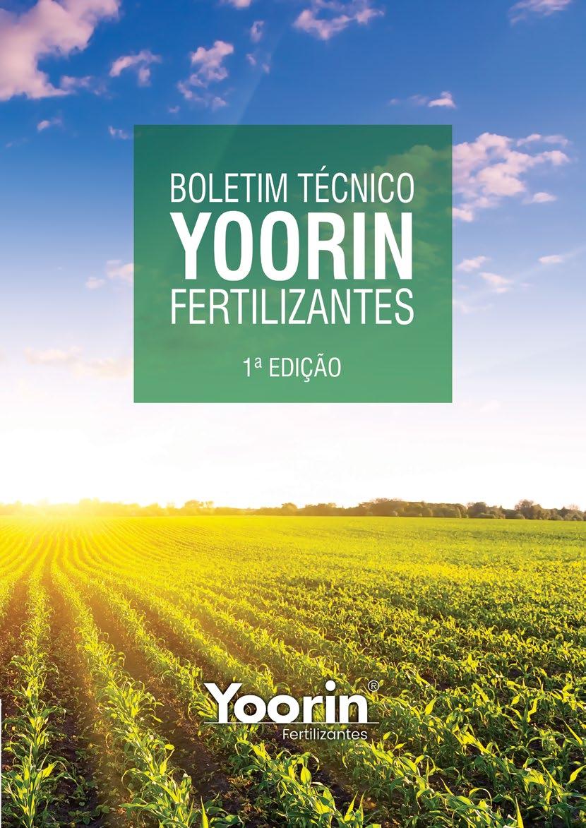 Boletim Técnico Yoorin