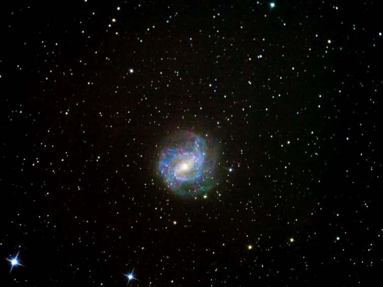 M101 - Galáxia do Cata-vento Astrofotógrafo: