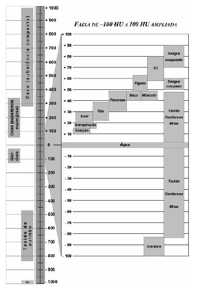 21 Tabela 2.1- Valores teciduais em HU Fonte: Pisco e Sousa (1999) Depois de escaneada a região de interesse, a imagem é trabalhada.