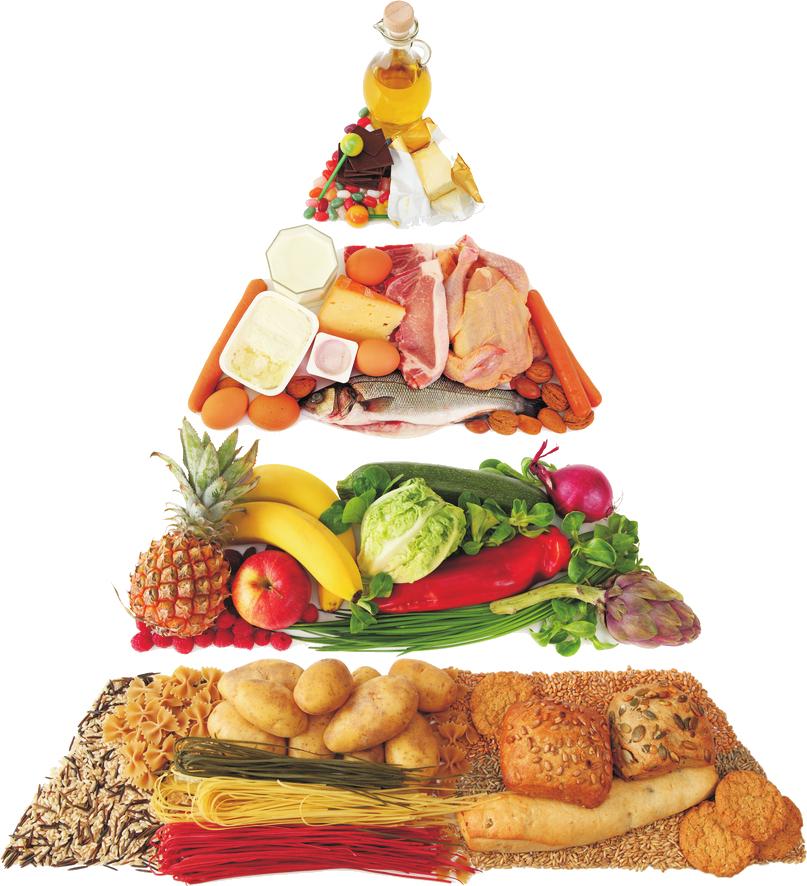 PIRÂMIDE DOS ALIMENTOS Segundo Philippi (2013), a alimentação deve ser composta por seis refeições diárias, distribuídas em três principais (desjejum, almoço e jantar) e as refeições intermediarias