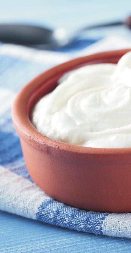 20 IOGURTE CASEIRO O iogurte é um derivado do leite, obtido através da fermentação lática sobre o leite integral ou desnatado, que ocorre com a ajuda de microorganismos, o que o torna um probiótico.