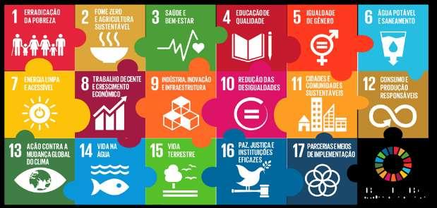 Presidência da República Secretaria de Governo Secretaria Nacional de Articulação Social A Agenda 2030 e os ODS: O papel do setor de