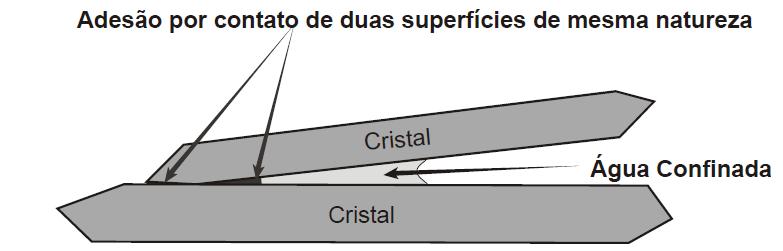 com um comportamento vítreo para a adesão entre as superfícies (KANNO, 2009). A Figura 3.