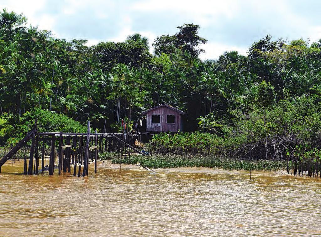 30 Estratégias locais de inovação, fortalecimento institucional e desenvolvimento sustentável De maneira geral, os municípios da mesorregião do Marajó têm garantido a estruturação de modos de vida e