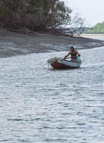 Projeto Pesca Sustentável na Costa Amazônica (PeSCA) do Maranhão (ALLISON; LEE, 2004; EL-ROBRINI; SILVA et al., 2011; EL-ROBRINI; MARQUES et al., 2011; TORRES; EL-ROBRIN, 2006).