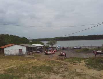 Projeto Pesca Sustentável na Costa Amazônica (PeSCA) Além da pesca, vários moradores da comunidade trabalham com a produção de caieira (carvão).