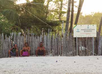 Foto: UNESCO/Fundo Vale/Adriana Cabral de vegetação do mangue e, além disso, não oferece nenhum tipo de retorno para a comunidade, visto que o produto é explorado por particulares para ser vendido em