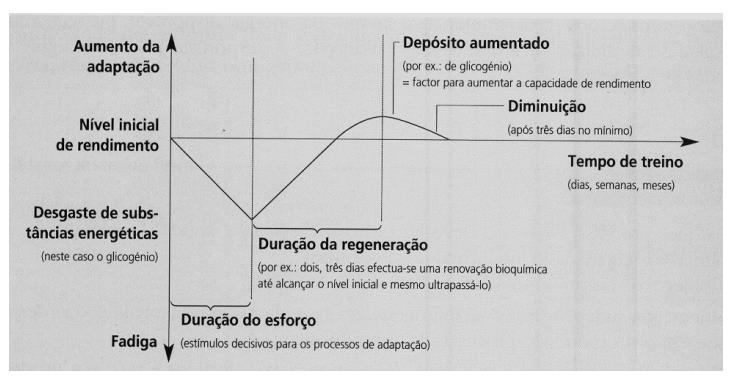 Ciclo de