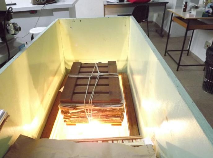 Figura 4: Estufa de secagem com material já prensado. As exsicatas foram depositadas no Laboratório Multidisciplinar da FESB.