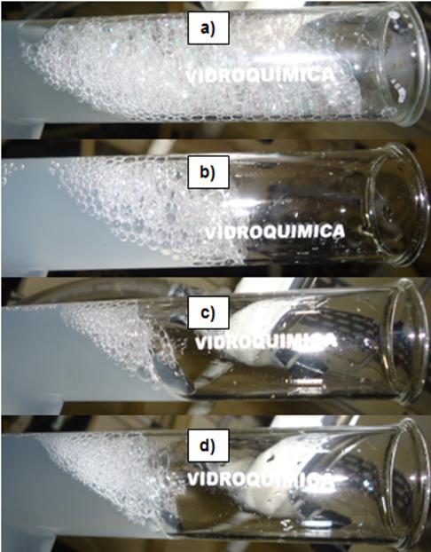 101 Figura 41. Espuma formada pela biomassa a diferentes valores de ph, concentração: 200 mg / L. a) ph 2, b) ph 5, c) ph 8 e c) ph 11.