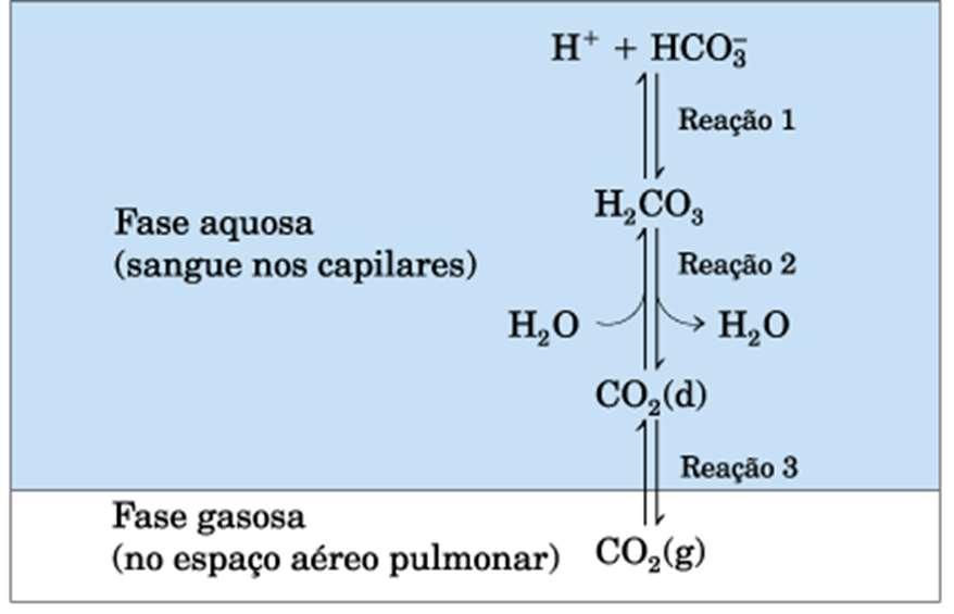 Sistemas tampão Dissolução do CO 2 no sangue CO 2 da respiração