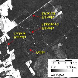 estimar a área afetada pela exploração madeireira. O raio de exploração para região de estudo foi estimado em 420 m (Monteiro e Souza Jr., em preparação).