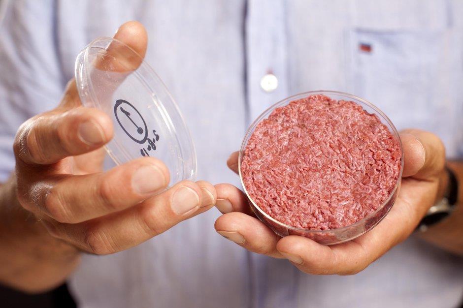 CARNE ARTIFICIAL: uma ameaça ao consumo de carne natural?