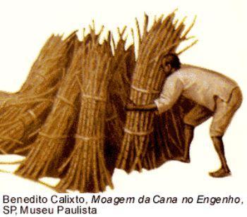 Durante os primeiros trinta anos (1500-1530), desde que chegaram no território brasileiro, eles descobriram o pau-brasil, uma madeira nativa da Mata Atlântica, que tinha sucesso no mercado consumidor