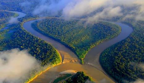 Rio Juruá Rio Javari Um dos principais afluentes da Bacia Amazônica.