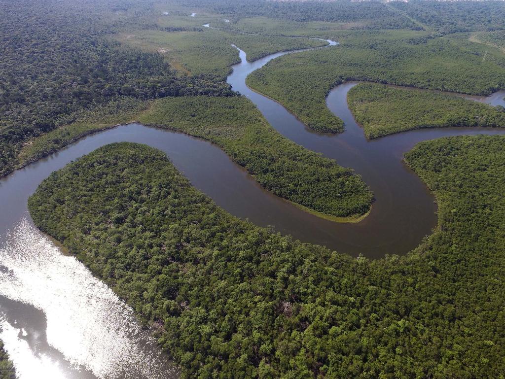 Leilão Anual Carpa, um rio de produtividade O Brasil é riquíssimo. Um País com uma diversidade natural grandiosa e incrível. Dono das maiores bacias hidrográficas do mundo.