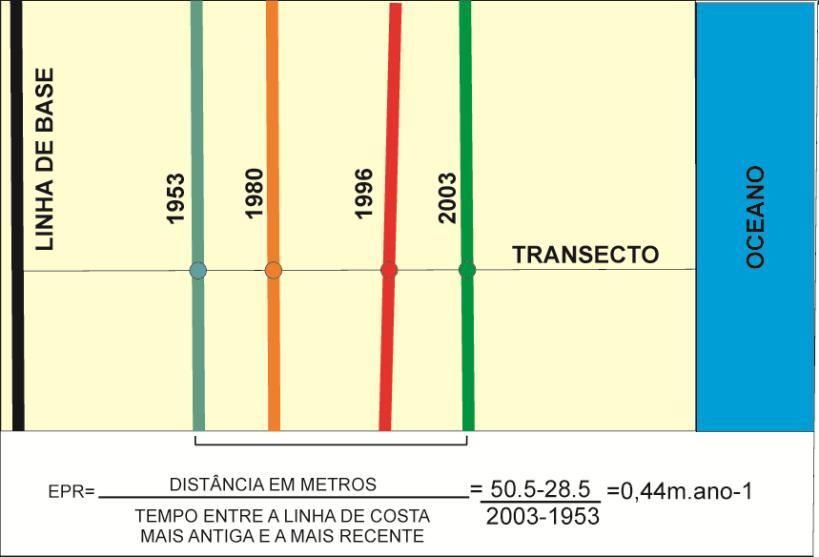 Figura 10: Linha de base e transectos perpendiculares gerados pelo DSAS para cálculo da variação da linha de costa.
