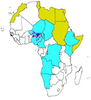 Página 4 Figura 1: Distribuição de casos de poliovírus selvagem, OMS/AFRO, 6 Não AFRO Vírus W1 Vírus W3 País W1