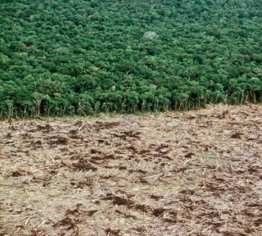 Desmatamento e Degradação Área florestal convertida a área não florestal Degradação: terra