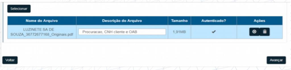 2 I IV. Durante todo o processo, se for necessário voltar a página, não utilize os botões do navegador, mas somente os botões VOLTAR e AVANÇAR disponíveis na parte inferior da tela.