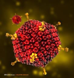 Características dos vírus Os vírus