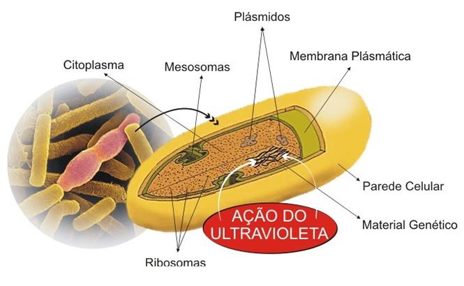 iniciar reações químicas: - Tubos fluorescentes; -