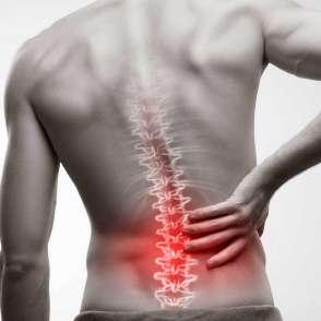Doenças da Coluna Vertebral Oito em cada dez pessoas têm dores nas costas em algum momento da vida.