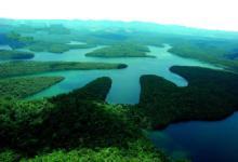 A unidade de conservação abriga a maior floresta tropical de Minas, em seus 36.
