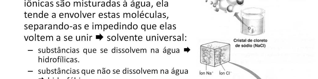 A propriedade solvente da água é importantíssima, pois todos os reagentes químicos contidos nas células estão dissolvidos em água e todas as reações químicas celulares ocorrem em