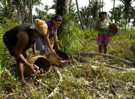 159 Inclusão Socioeconômica Estimativa de 300 mil quebradeiras de coco babaçu entre Maranhão, Piauí, Tocantins e Pará.