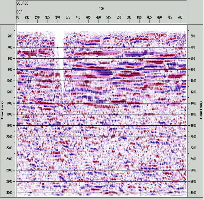 A grande quantidade de tiros perdidos na fase de aquisição (faixa sem reflexão entre os CDPs 320 e 360) e a baixa qualidade dos dados sísmicos da linha 0204-RL-0057, devido à baixa razão sinalruído