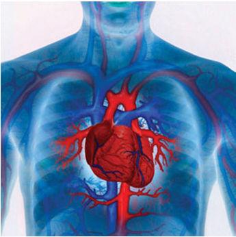 Síncope Cardíaca Geralmente de início abrupto Não tem relação com movimentos convulsivos