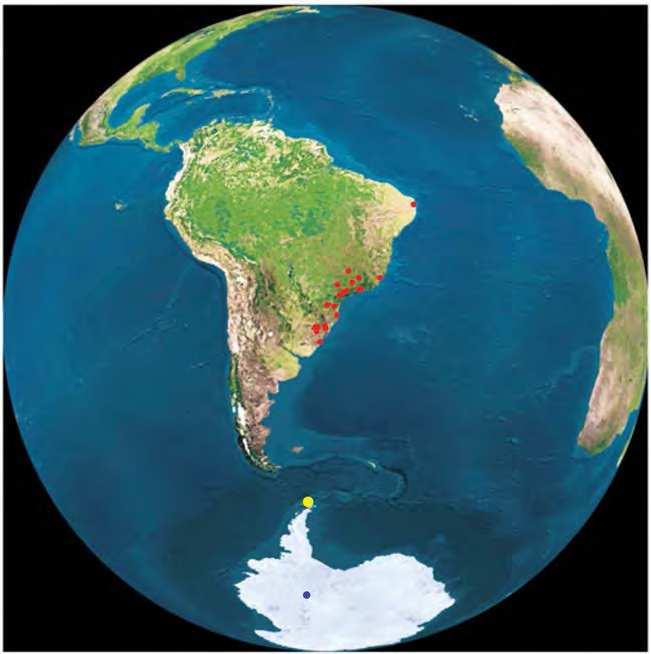 Na perspectiva ao lado, centrada proximidade entre a região Antártica e o Brasil. brasileiras com instituições que realizam pesquisas antárticas.