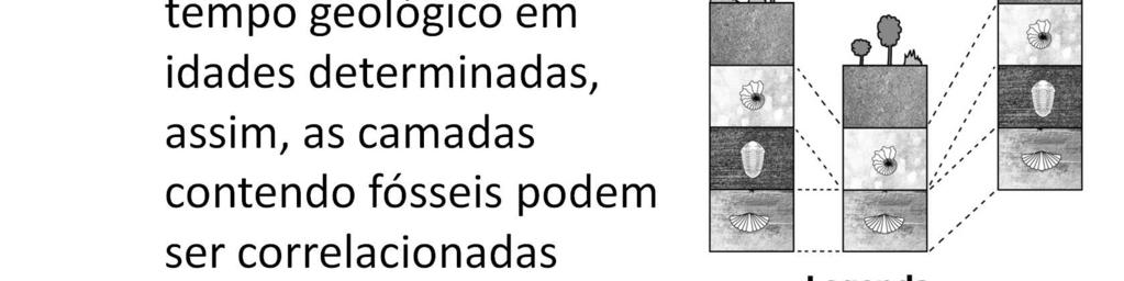 As correlações temporais (correlações estratigráficas) entre camadas de rocha situadas a longa distância são realizadas com a utilização de fósseis (gêneros, espécies) que reúnem uma série de