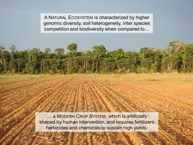 O ECOSSISTEMA NATURAL é caracterizado pela alta diversidade genômica, solos heterogêneos de alta capacidade de tamponamento e resiliência, competição equilibrada inter-espécies e grande