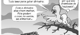 Exercícios: 1 Em relação ao termo Biodiversidade é correto afirmar que: a) se relaciona somente à fauna e à flora da zona tropical do planeta, pois nas regiões temperadas não há diversidade.