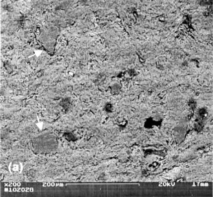 C. M. F. Vieira et al. / Cerâmica 49 (2003) 6-10 8 na temperatura de 950 C. Na Fig. 5 são apresentadas as micrografias das amostras da argila plástica e argila siltosa queimadas a 1250 C.