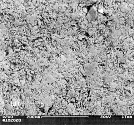 Pode-se observar que, para amostras queimadas a 950 o C, ambas argilas apresentam como fases cristalinas o quartzo, mica e a hematita.