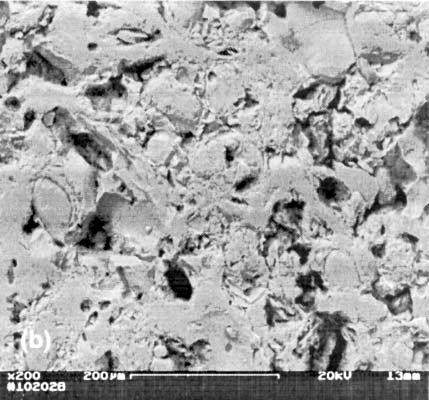 [Figure 5: Microstructural patterns of plastic clay (a) and silty clay (b) burnt at 1250 o C.