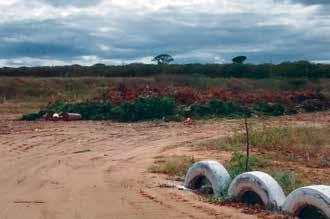 O destino final das podas e volumosos é o lixão, com exceção de Brejo Santo que dispõe no aterro de uma área específica para disposição dos resíduos verdes.