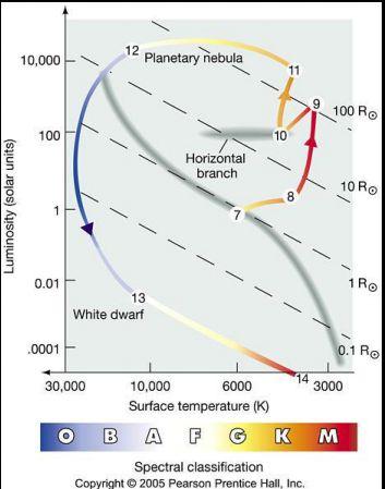 Objetos Compactos - Anãs Brancas: Características Gerais O diagrama de Hertzsprung-Russell (HR) ilustra que anãs brancas são menos brilhantes* que as estrelas da sequência principal, porém suas