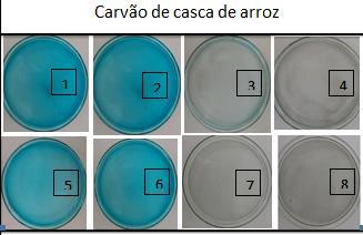 3. RESULTADOS E DISCUSSÃO 3.1.