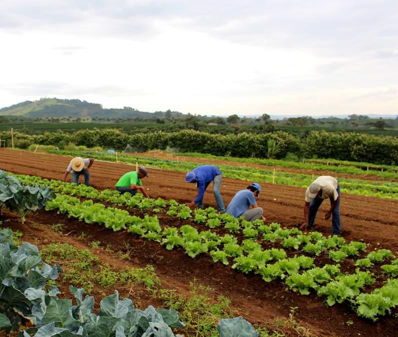 EIXO RECURSOS NATURAIS O eixo tecnológico de RECURSOS NATURAIS compreende tecnologias relacionadas a extração e produção animal, vegetal, mineral, aquícola e pesqueira.