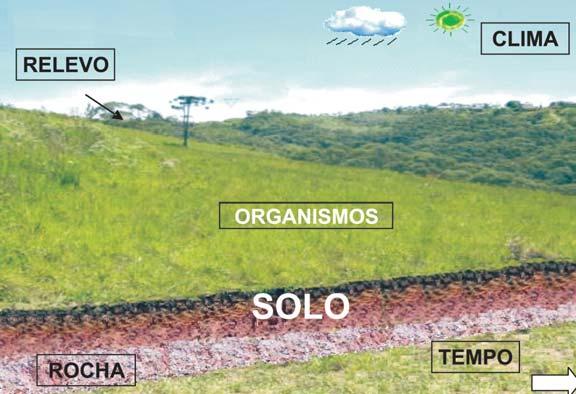 2 Valmiqui Costa Lima e Marcelo Ricardo de Lima CLIMA ORGANISMOS RELEVO TEMPO ROCHA SOLO Figura 1. Fatores de formação do solo. Figura 2. A paisagem e os fatores responsáveis pela formação do solo.