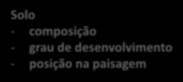 2. Fatores de influência nos processos