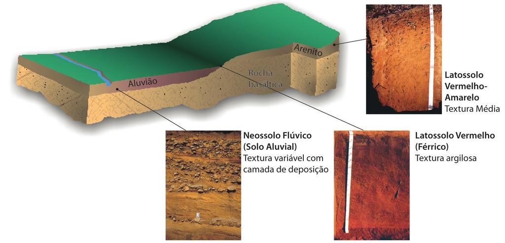 Fig. 13.