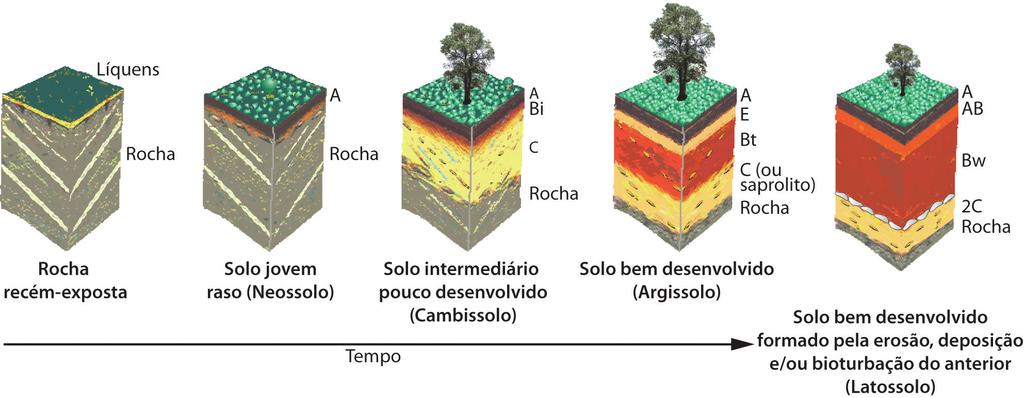 Fig. 13.