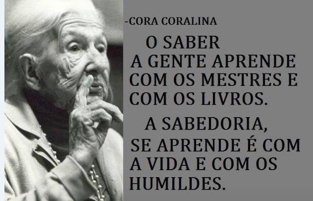 Envelhecimento, Saúde e Qualidade de Vida: desafios para as políticas