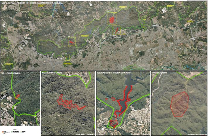 Rodoanel Norte 156,30 ha no PEC (FF) Supressão vegetal autorizada: 196 hectares.